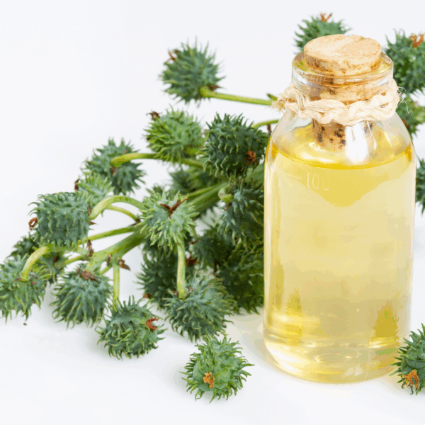 Lady Energy Castor Oil - Afbeelding 2
