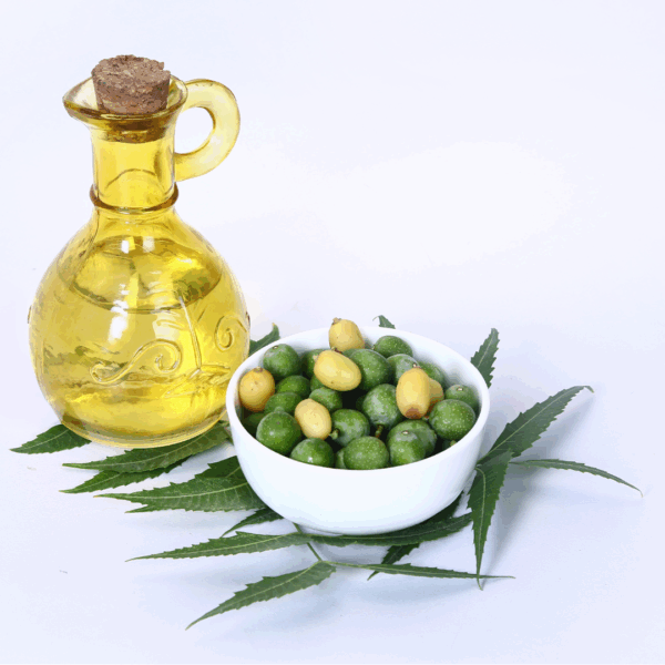 Lady Energy Neem Oil - Afbeelding 2